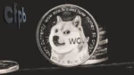 CFPB's Role in Protecting Dogecoin Investors