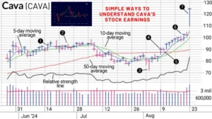 Simple Ways to Understand Cava’s Stock Earnings
